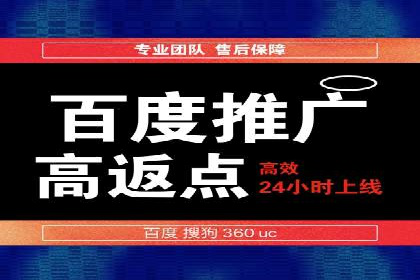 SEM广告投放案例：打造品牌影响力